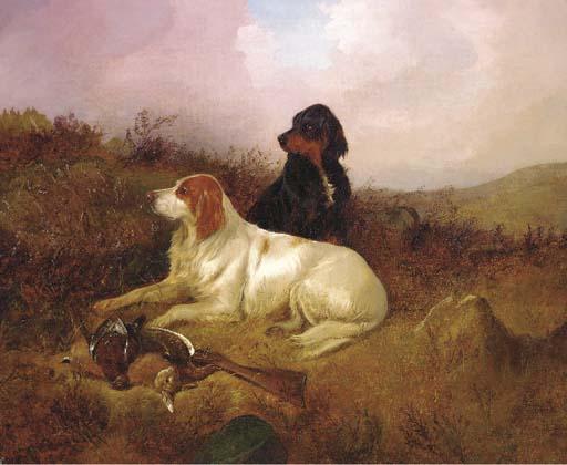 Colin Graeme Roe - The day\'s bag