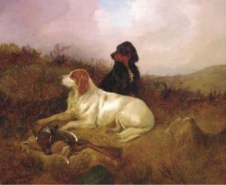 Colin Graeme Roe - The day\'s bag