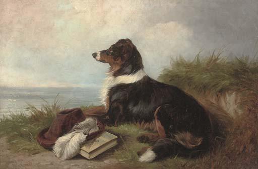 Colin Graeme Roe - Waiting and watching