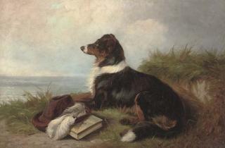 Colin Graeme Roe - Waiting and watching