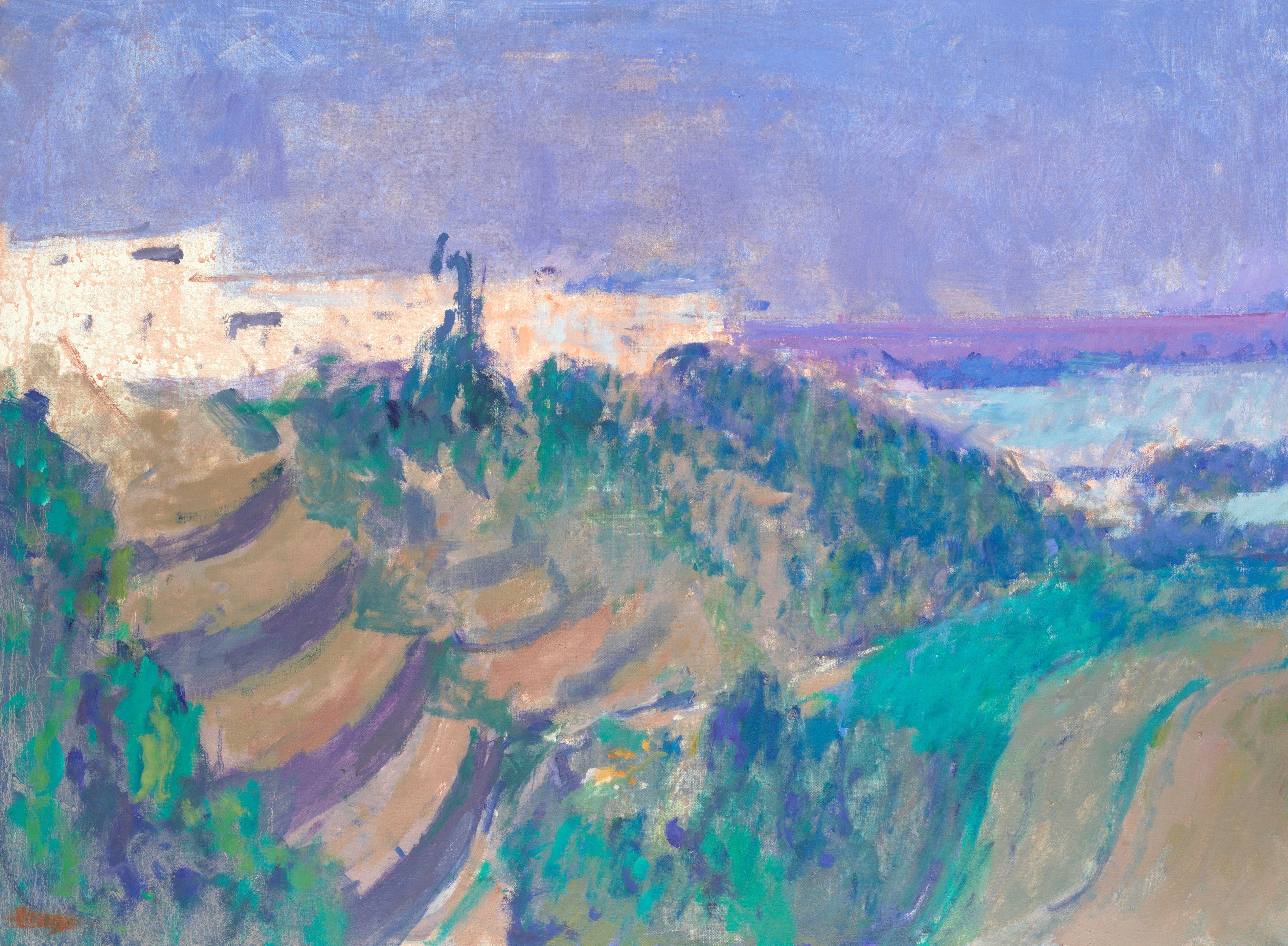 Colin Hayes R.A., R.B.A. - Barranco in Tenerife