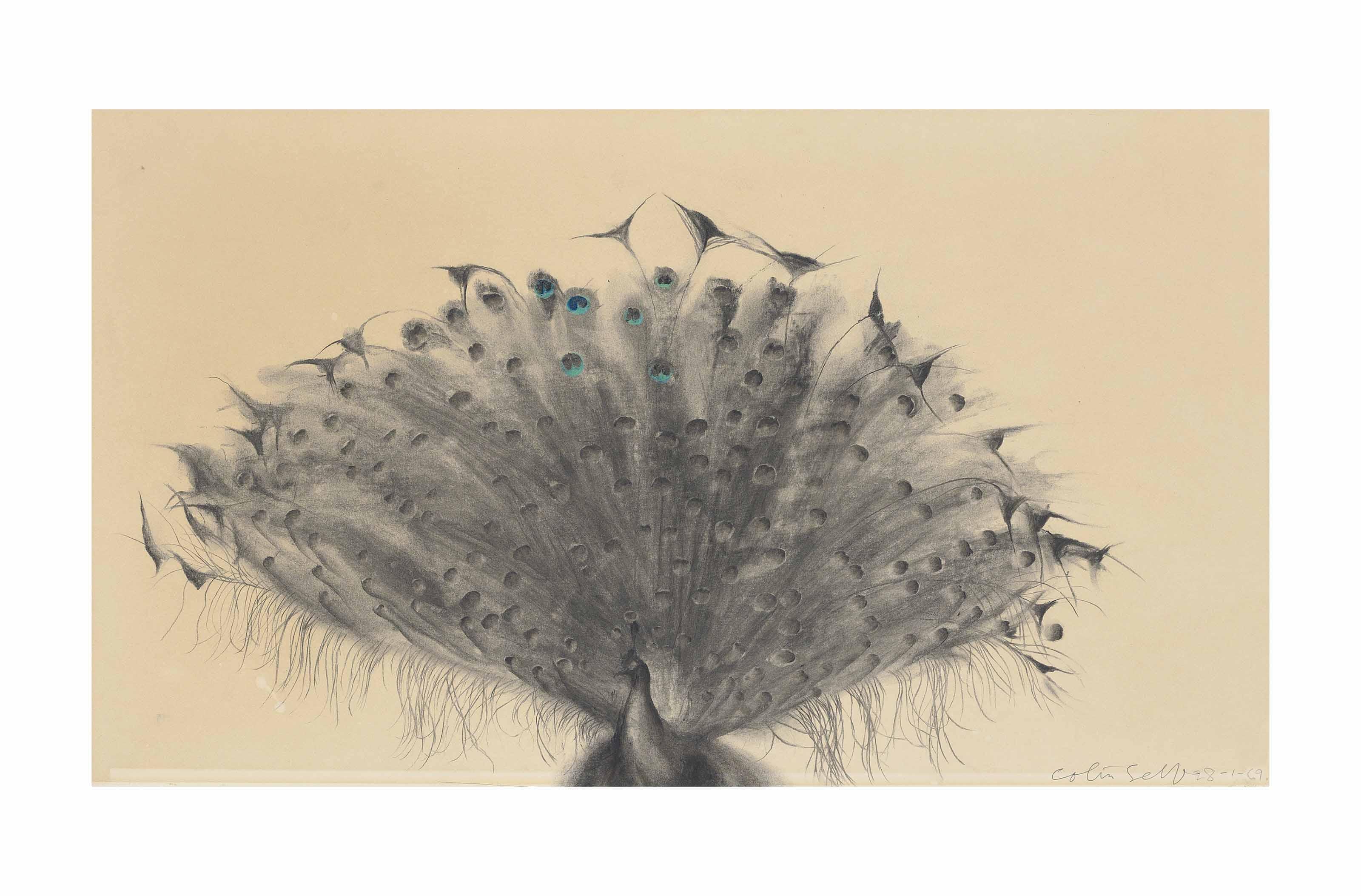 Colin Self - Peacock