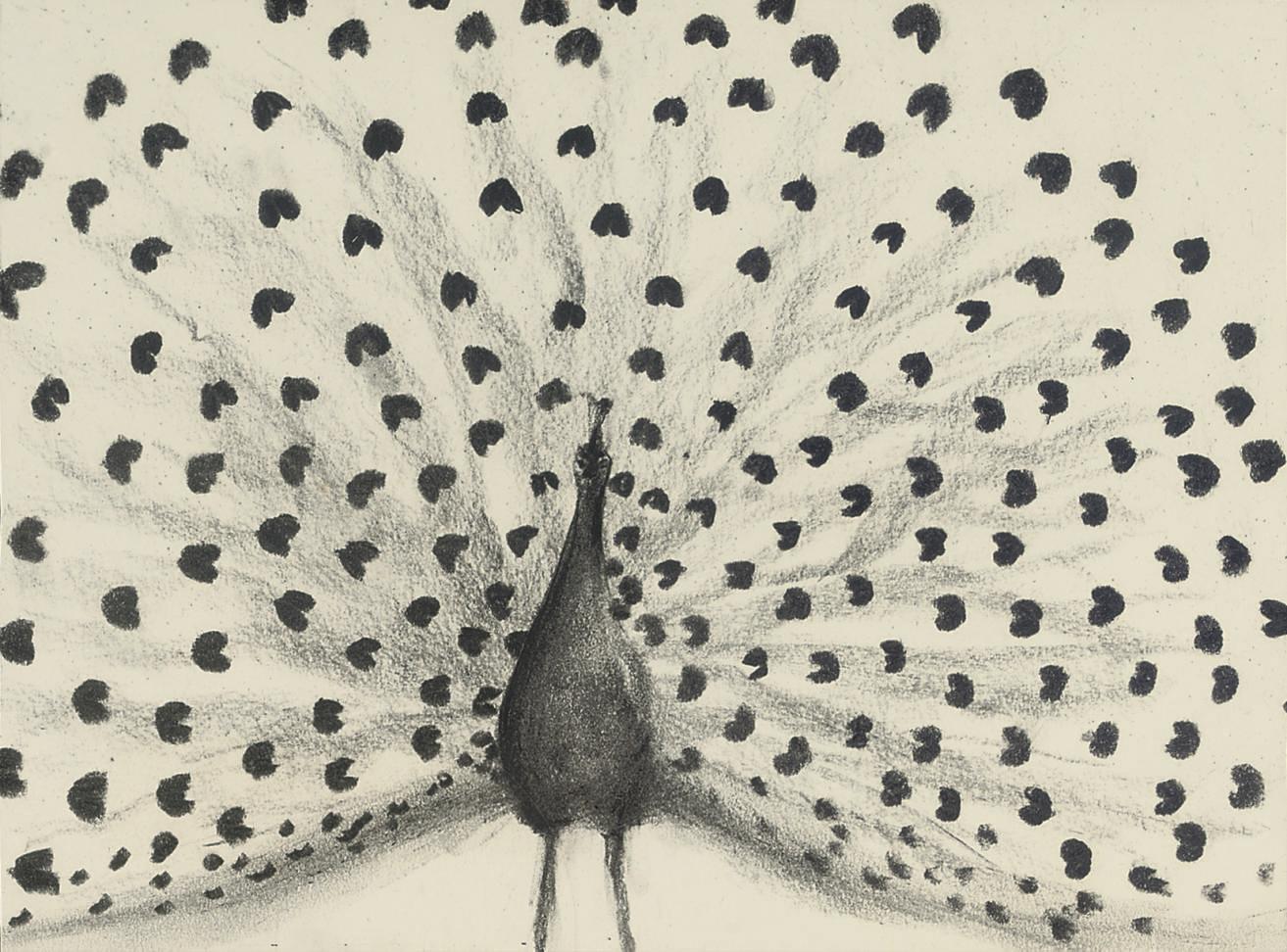 Colin Self - Peacock