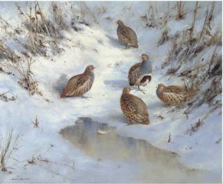 Colin W. Burns - A Covey of Grey Partridge