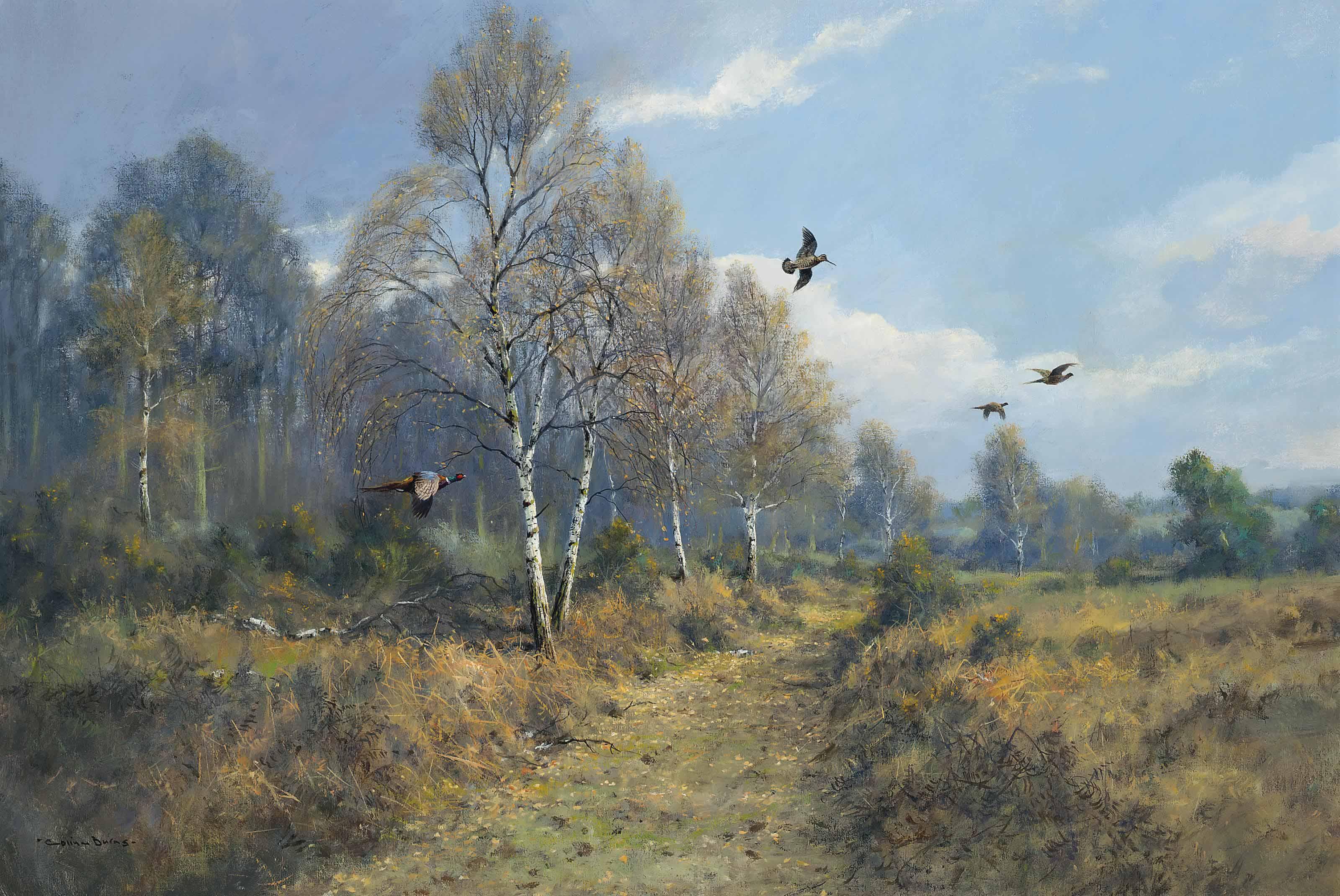 Colin W. Burns - Breaking cover, Thetford, Norfolk