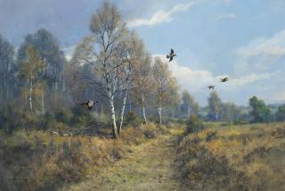 Colin W. Burns - Breaking cover, Thetford, Norfolk