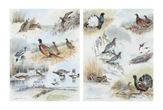 Colin W. Burns - French Partridge, snipe, wood pigeon, pheasent & grey partridge; and Black cock, red grouse and wood cock
