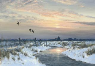 Colin W. Burns - Ludham Marshes with St Benet\'s Abbey in the distance