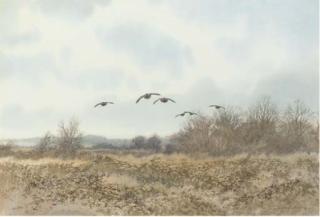 Colin W. Burns - Partridges - Burgh Common