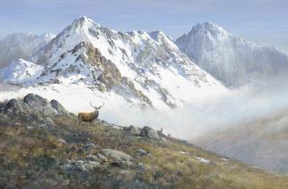 Colin W. Burns - Red deer, Cullins, Scotland