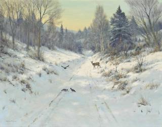 Colin W. Burns - Roe deer - Glen Moriston