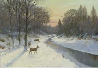 Colin W. Burns - Roe Deer, Thetford Forest