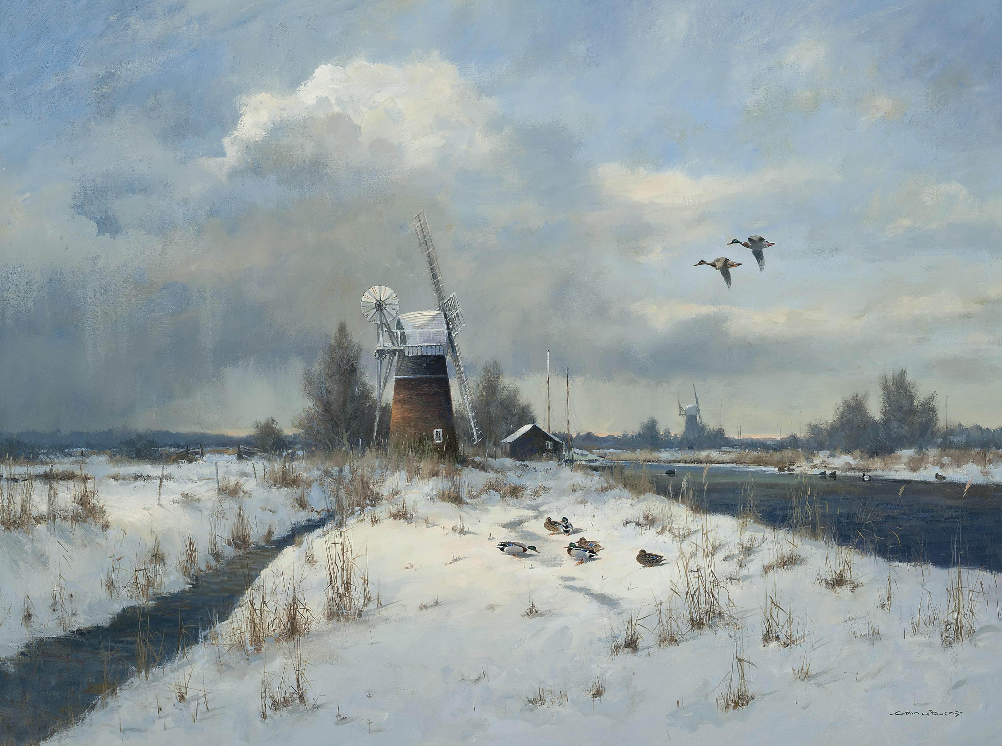 Colin W. Burns - St. Benet\'s Level, Norfolk