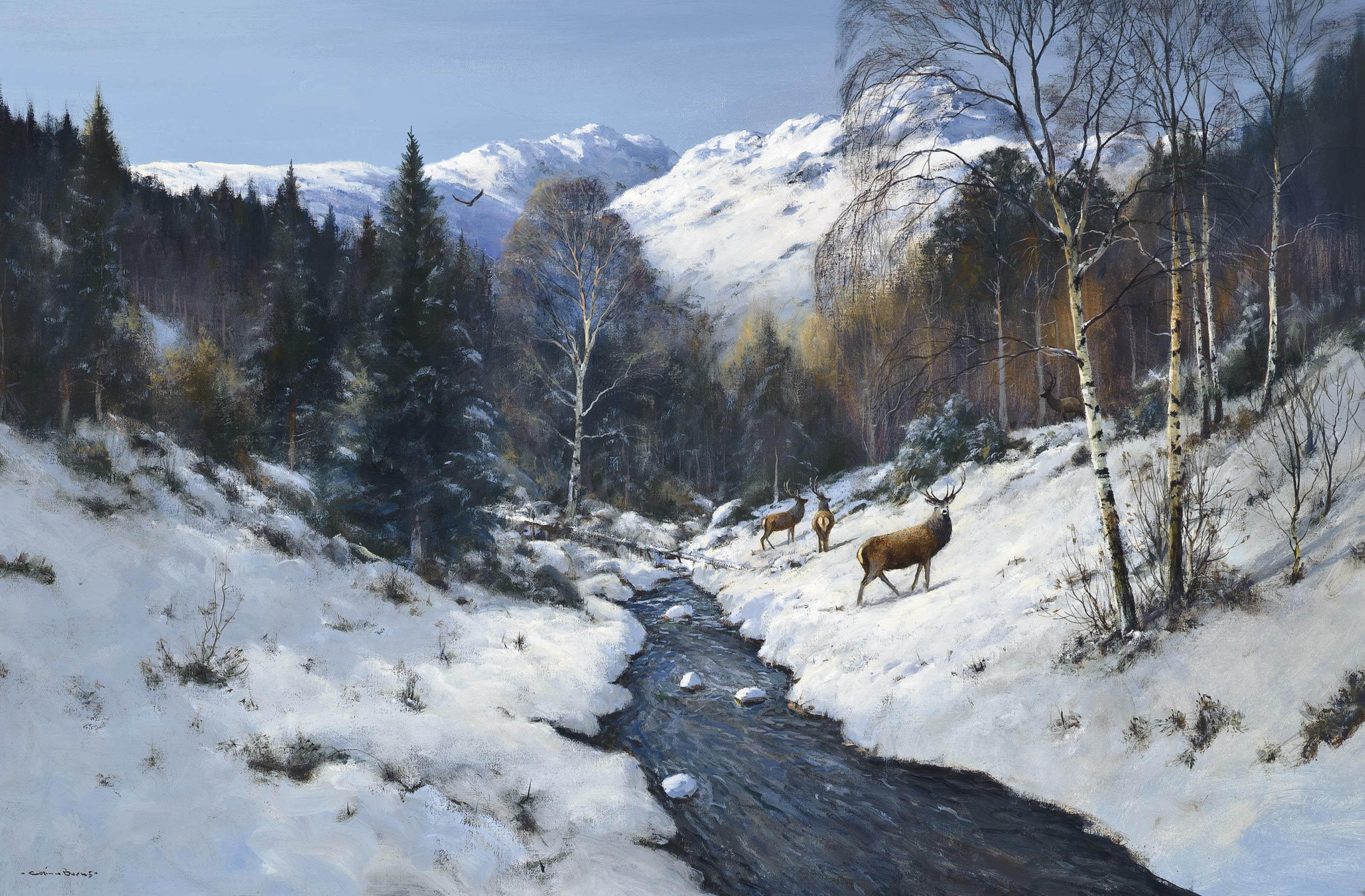 Colin W. Burns - Stags in the low ground, Tay Forest