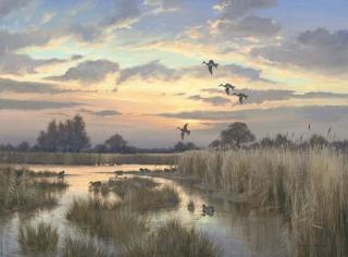 Colin W. Burns - The Evening Flight, Martham, Norfolk Broads