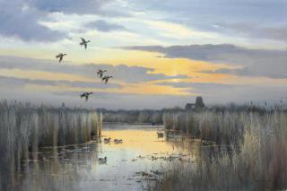 Colin W. Burns - The Inlet, River Bure Norfolk