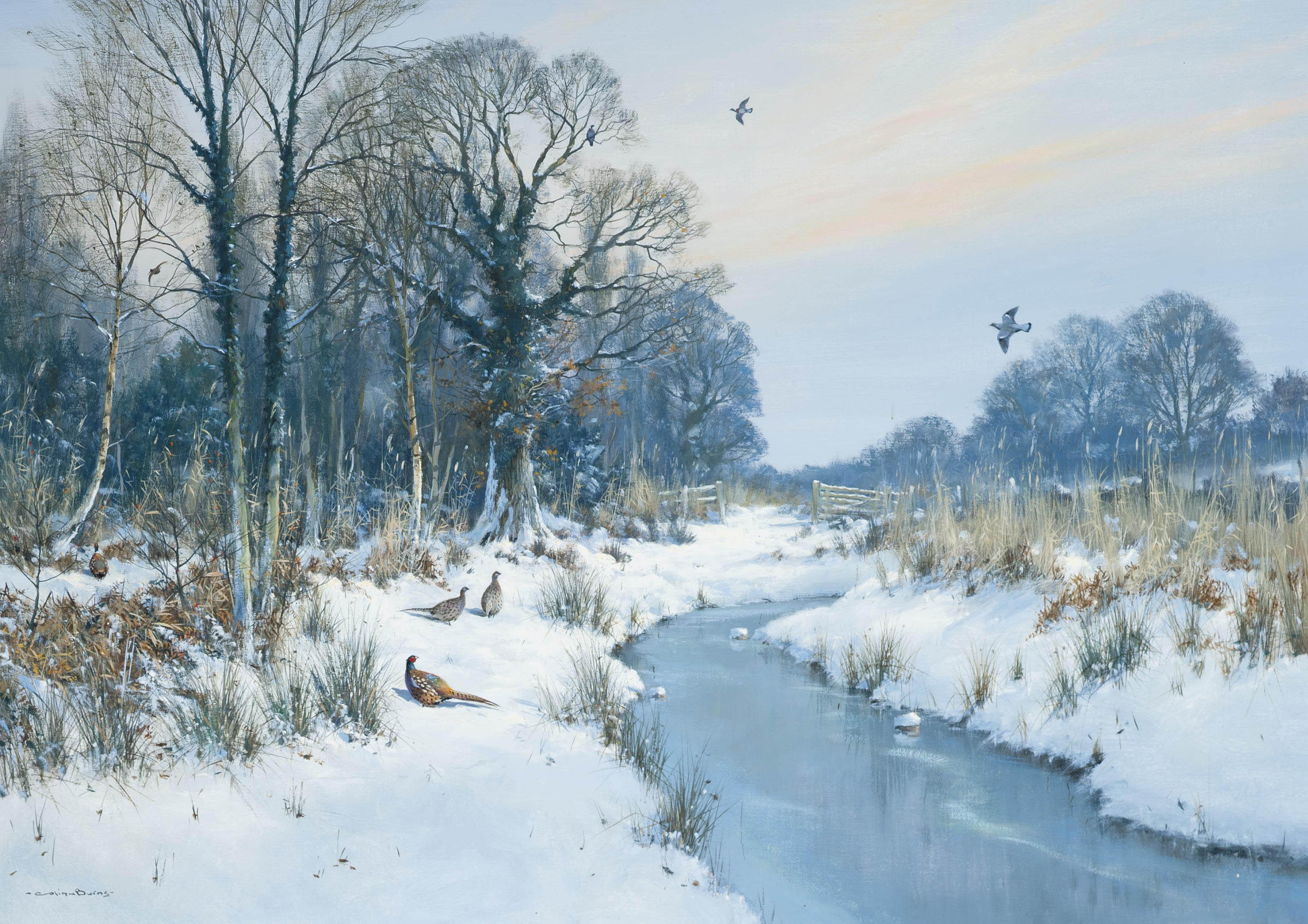 Colin W. Burns - Winter - Dilham, Norfolk