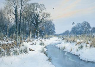 Colin W. Burns - Winter - Dilham, Norfolk