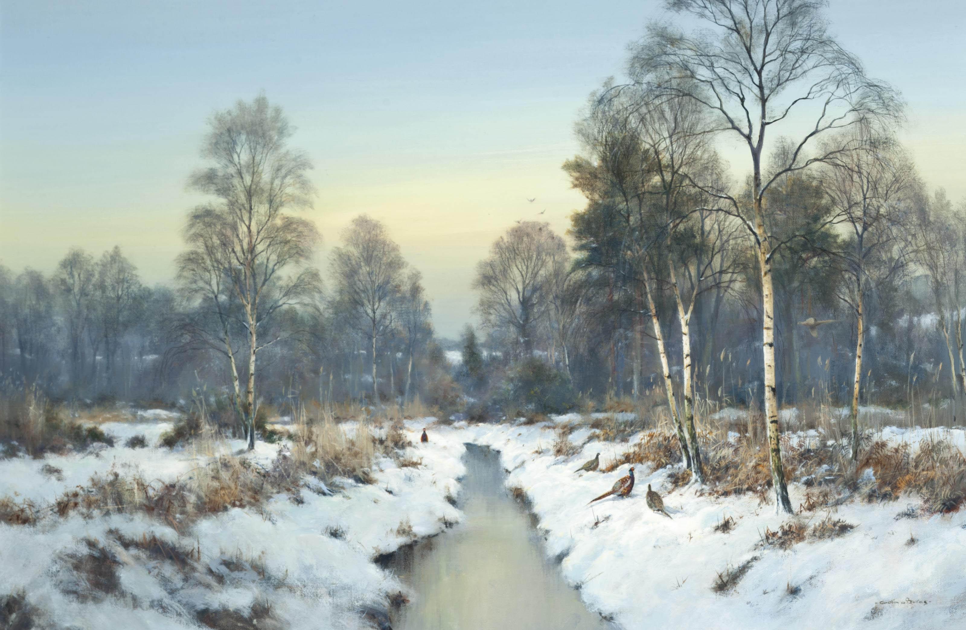 Colin W. Burns - Winter
