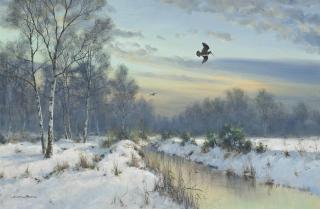Colin W. Burns - Woodcock On The Common
