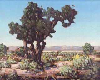 Conrad Buff - Juniper Tree