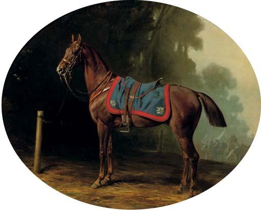 Conrad Freyberg - A military horse