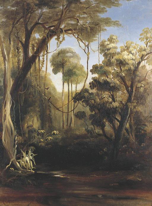 Conrad Martens - Forest Scene, Illawarra