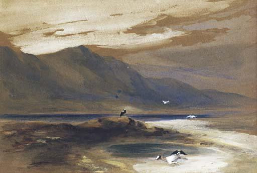 Conrad Martens - Rio Santa Cruz