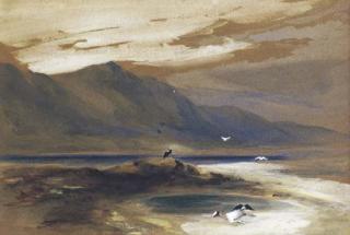 Conrad Martens - Rio Santa Cruz