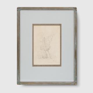 Conrad Martens - White Gum, Stringy Bark, 1838