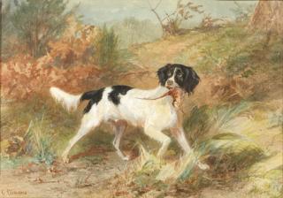Conradijn Cunaeus - A gundog retrieving a bird