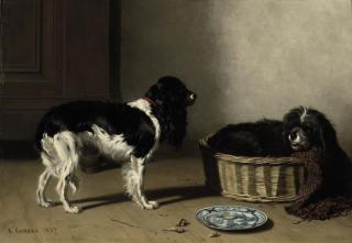 Conradijn Cunaeus - The rivalry