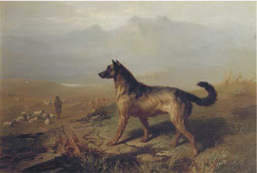 Conrandijn Cunaeus - Guarding the flock in the Highlands, Scotland