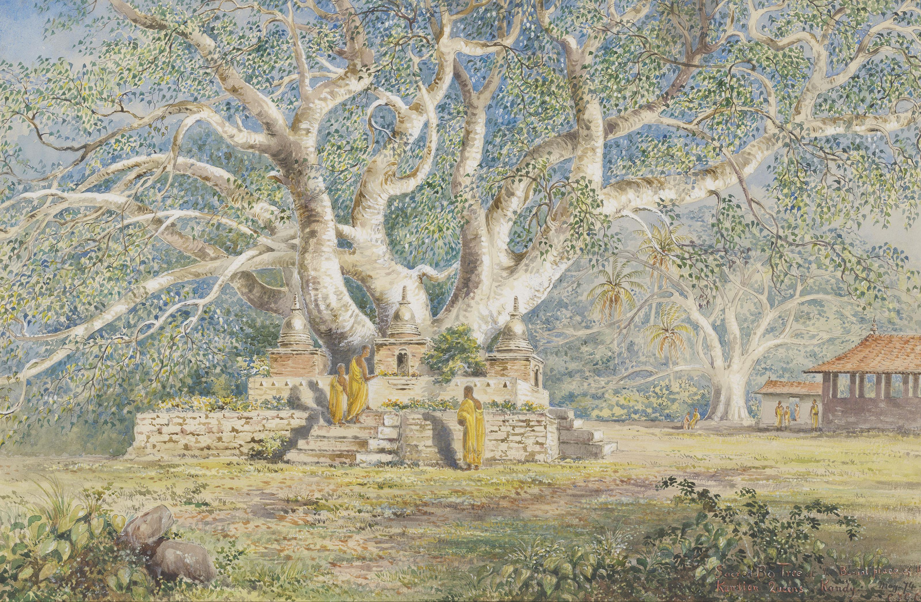 Constance Frederica Gordon Cumming - Sacred Bo Tree at the burial place of the Kandian Queens, Kandy (Sri Lanka)