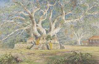 Constance Frederica Gordon Cumming - Sacred Bo Tree at the burial place of the Kandian Queens, Kandy (Sri Lanka)