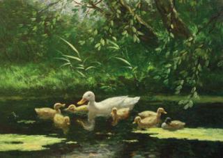 Constant Artz - A duck and ducklings going for a swim