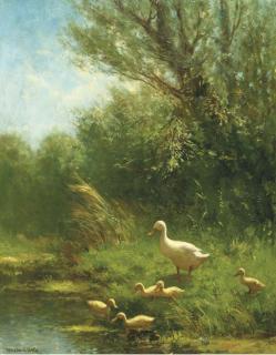 Constant Artz - A duck watching over her young