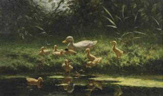 Constant Artz - Ducklings On A Sunlit Riverbank