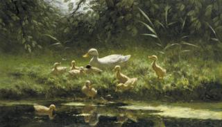 Constant Artz - Ducklings on a sunlit riverbank