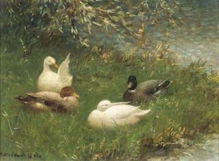 Constant Artz - Ducks along the waterside