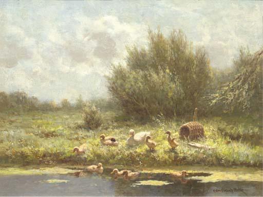 Constant Artz - Ducks and ducklings along the waterside