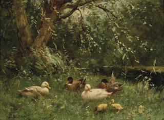 Constant Artz - Ducks and ducklings at a riverside