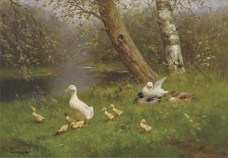 Constant Artz - Ducks and ducklings by the waterside