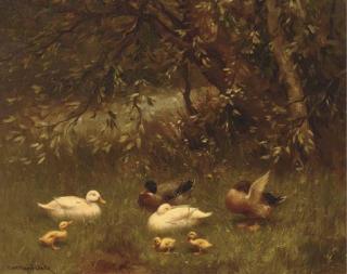 Constant Artz - Ducks and ducklings in the shade of a tree