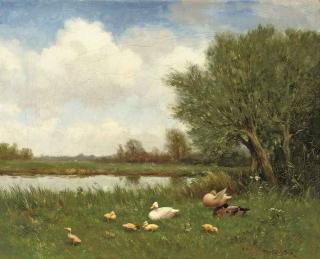 Constant Artz - Ducks and ducklings on a river bank