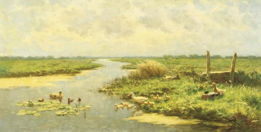 Constant Artz - Ducks and ducklings on a sunny day