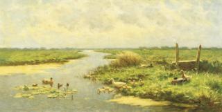 Constant Artz - Ducks and ducklings on a sunny day