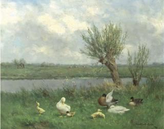 Constant Artz - Ducks by the waterside