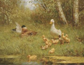 Constant Artz - Ducks by the waterside