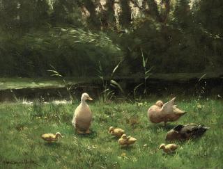 Constant Artz - Ducks in a sunlit meadow